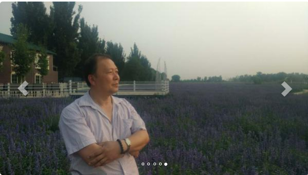 王振东_名人百科网