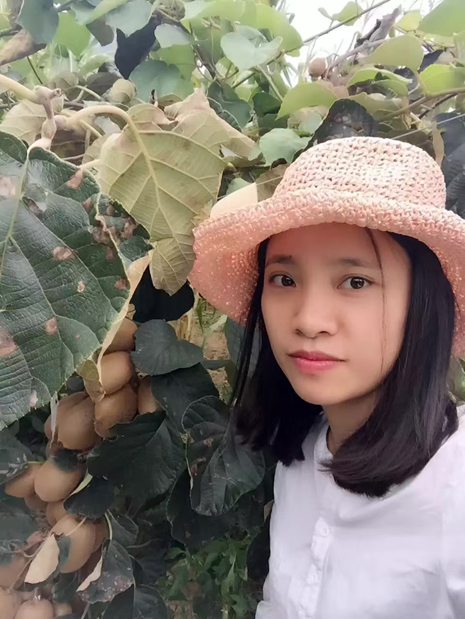 陈玉丘_名人百科网