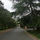少廉_名人百科网