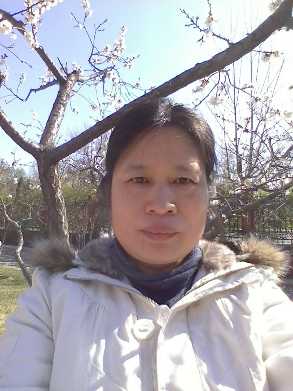 楸梓_名人百科网